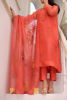 Pakistani Coral Ari Embroidered Organza Salwar Kameez (3-Piece) - Image 5