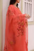Pakistani Coral Ari Embroidered Organza Salwar Kameez (3-Piece) - Image 6