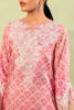 Pink Ombre Crystal Organza Salwar Kameez (3-Piece) - Image 4