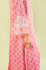 Pink Ombre Crystal Organza Salwar Kameez (3-Piece) - Image 7