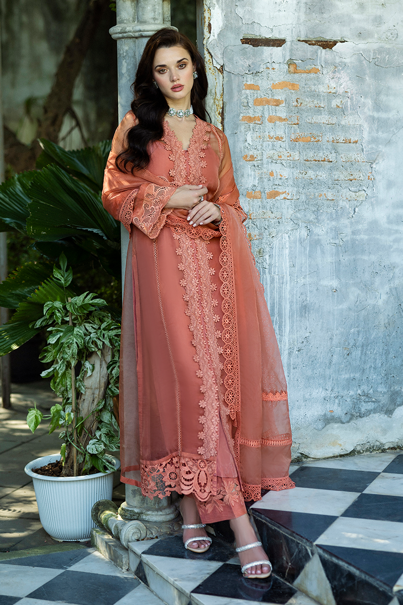 Pakistani Coral Embroidered Organza Salwar Kameez (3-Piece) - Image 3