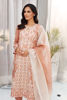 Pakistani Tea Pink Embroidered Organza Salwar Kameez (3-Piece) - Image 4