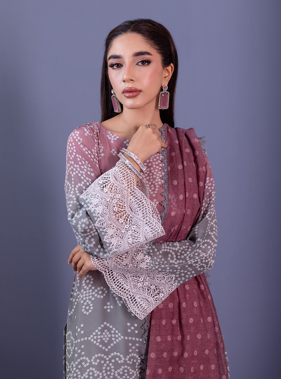 Pakistani Pink & Grey Embroidered Silk Organza Salwar Kameez (3-Piece) - Image 4