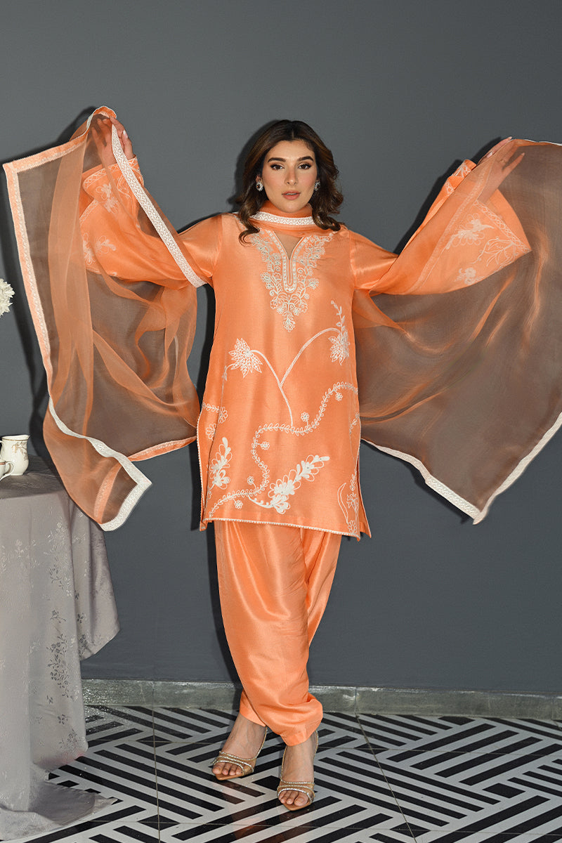 Pakistani Peach Aari Embroidered Pure Silk Salwar Kameez (3-Piece) - Image 1
