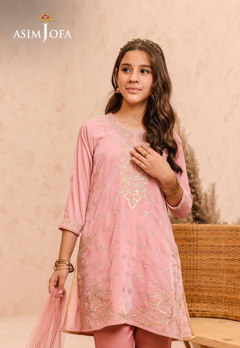 Pakistani Peach Embroidered Velvet Salwar Kameez (3-Piece) - Image 3