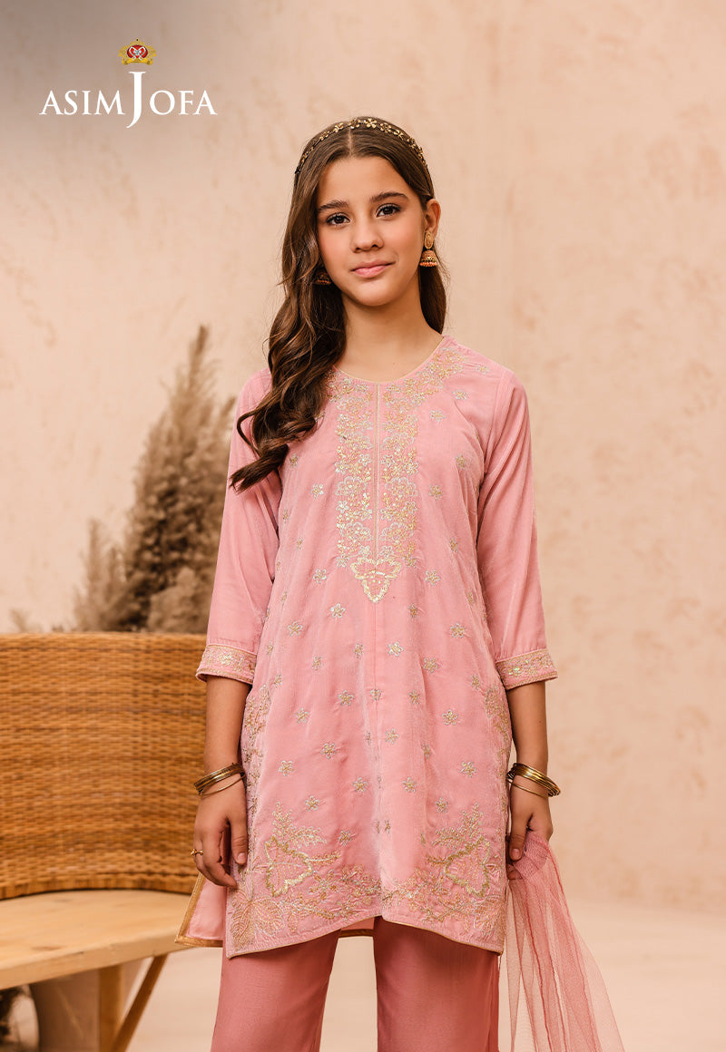 Pakistani Peach Embroidered Velvet Salwar Kameez (3-Piece) - Image 4