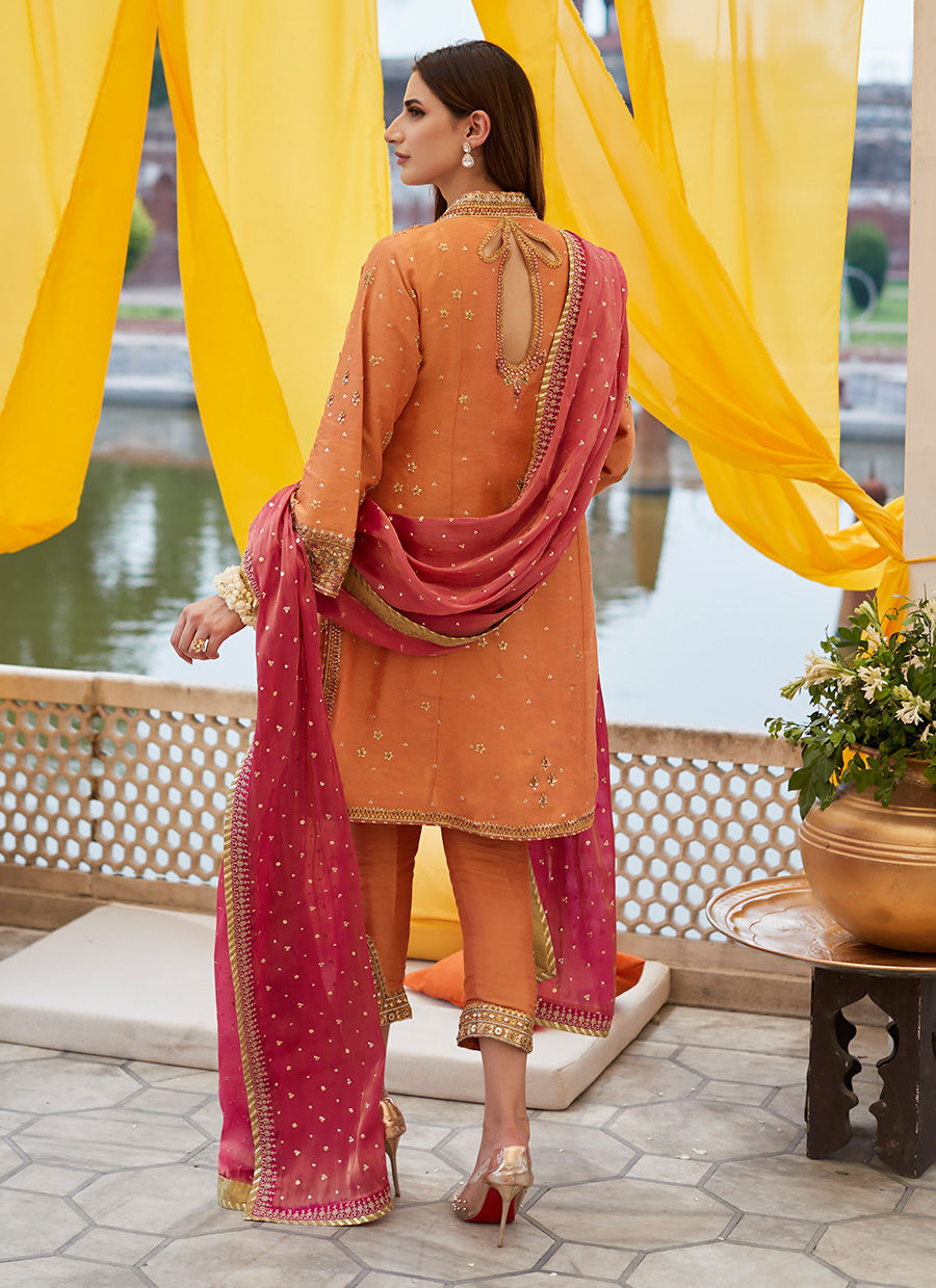 Pakistani Coral Zardozi Zari-Net A-Line Kurta (3-Piece) - Image 12