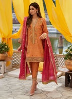 Pakistani Coral Zardozi Zari-Net A-Line Kurta (3-Piece) - Image 3