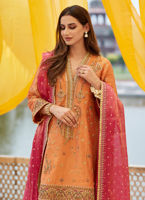 Pakistani Coral Zardozi Zari-Net A-Line Kurta (3-Piece) - Image 5