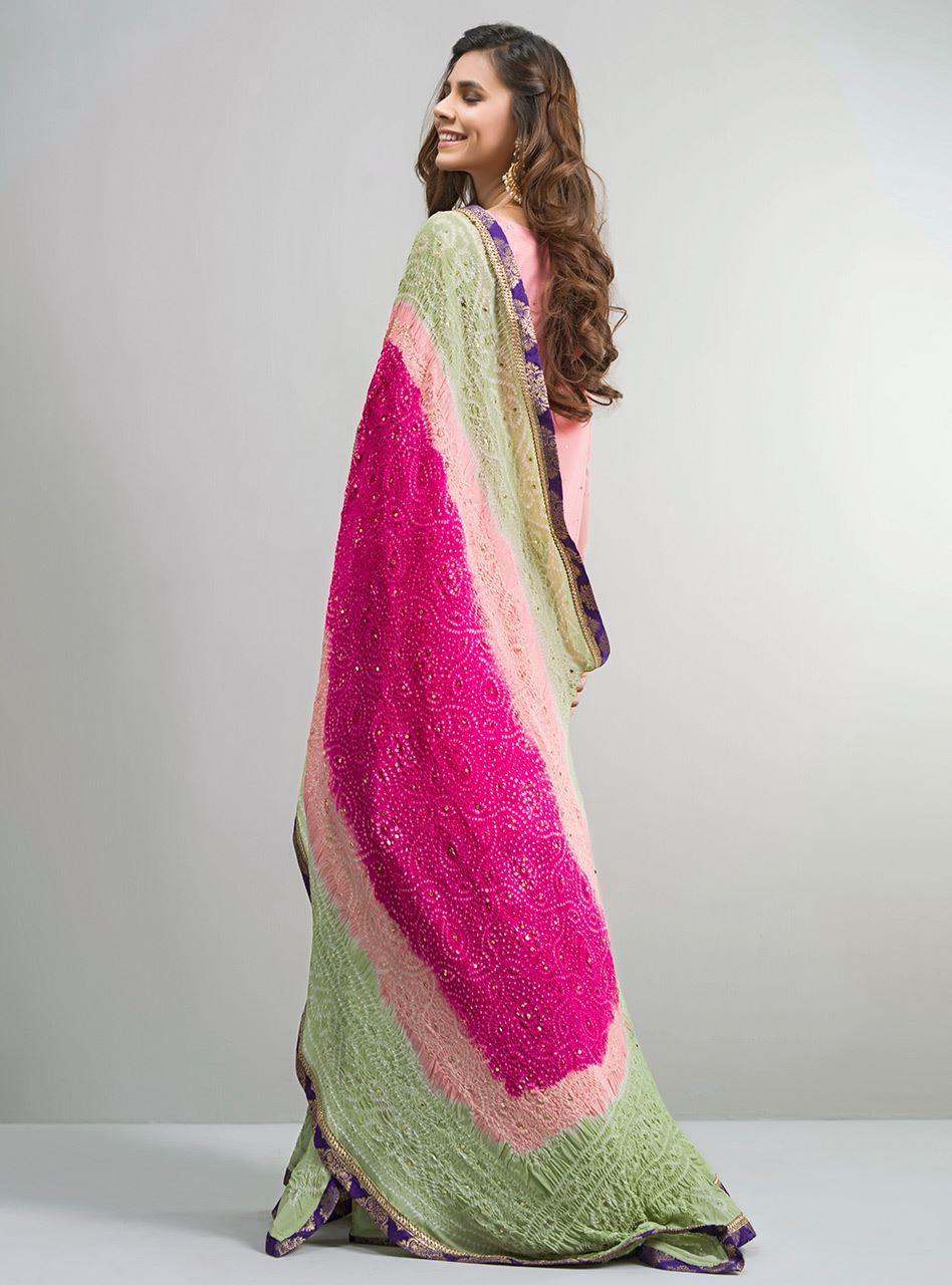 Pakistani Salmon Pink Embroidered Net & Raw Silk Sharara (3-Piece) - Image 3