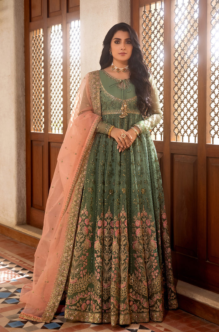 Pakistani Pastel Pistachio Embroidered Organza Kalidar (2-Piece) - Image 1