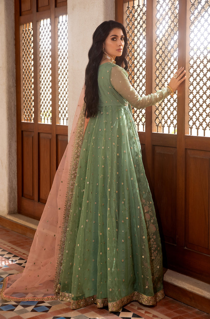 Pakistani Pastel Pistachio Embroidered Organza Kalidar (2-Piece) - Image 3