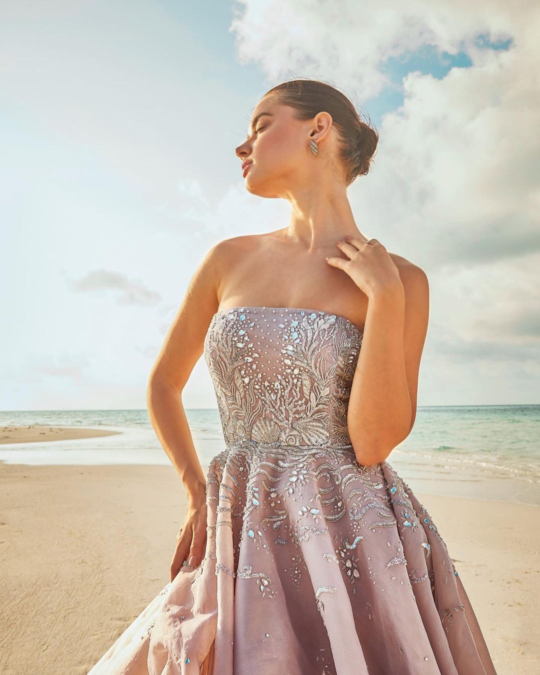 Indian Lilac Embellished Silk Organza Gown (1-Pc) - Image 1