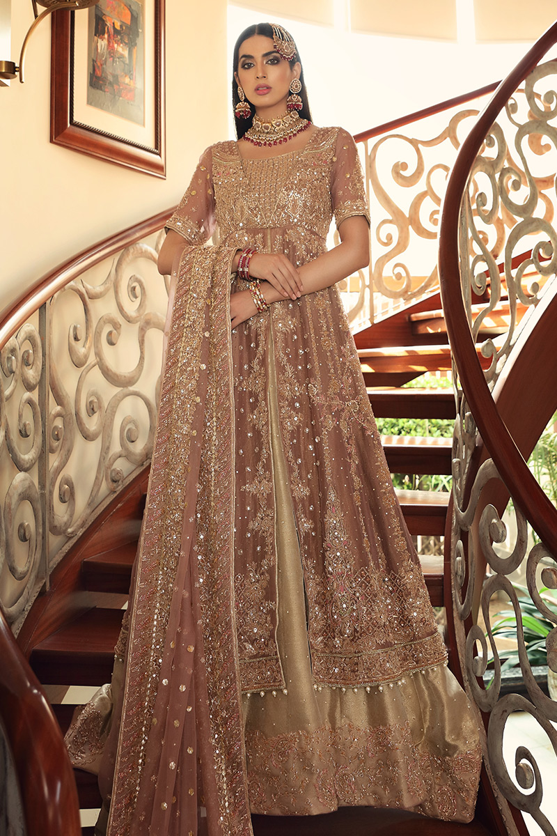 Lilac Embellished Tissue Lehenga Gown (3-Piece) - Image 1