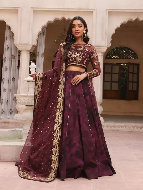 Deep Purple Embroidered Organza Choli & Velvet Lehenga (3-Piece) - Image 1