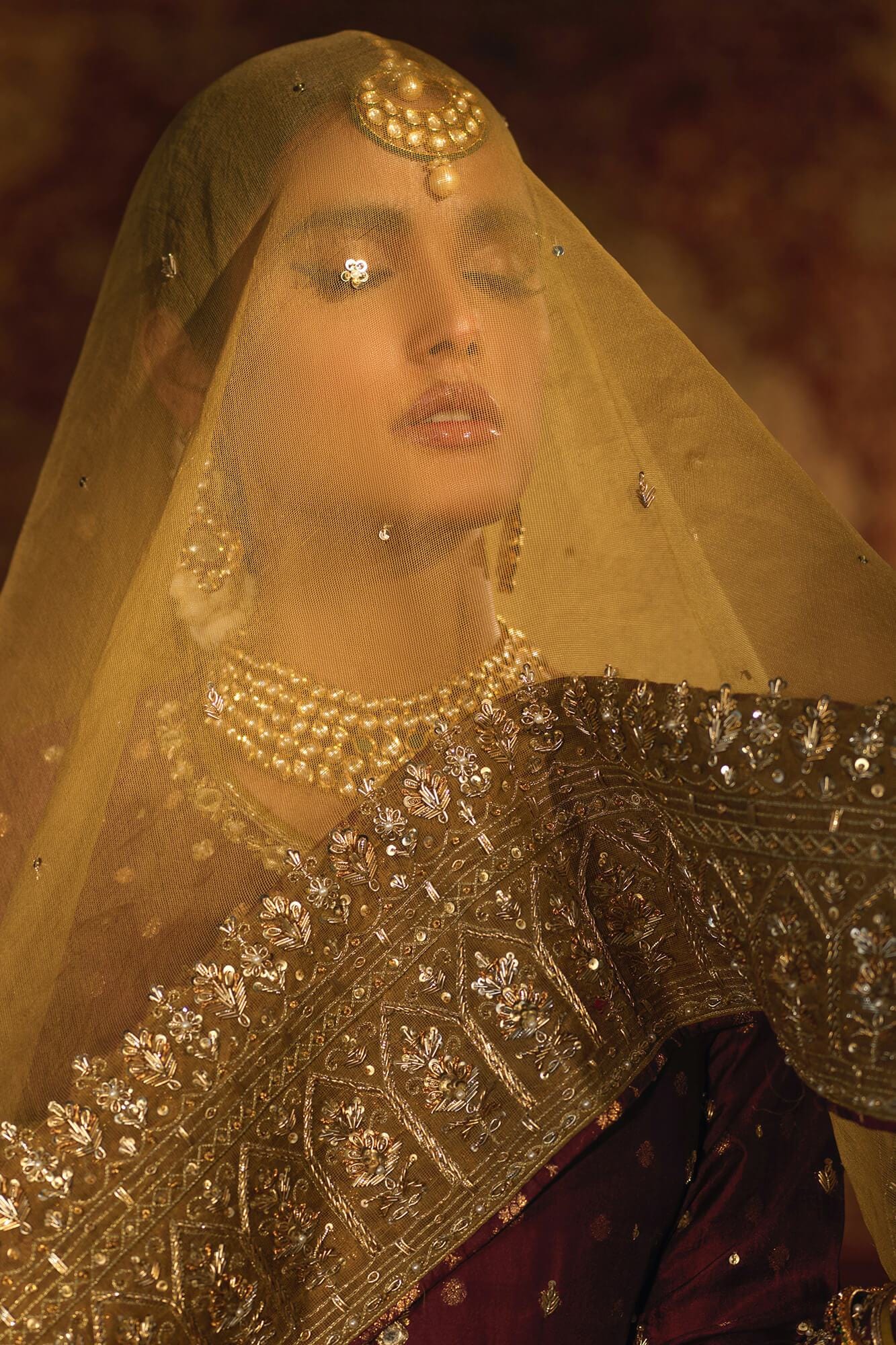 Plum Embroidered Banarsi Silk Salwar Kameez (3-Piece) - Image 6