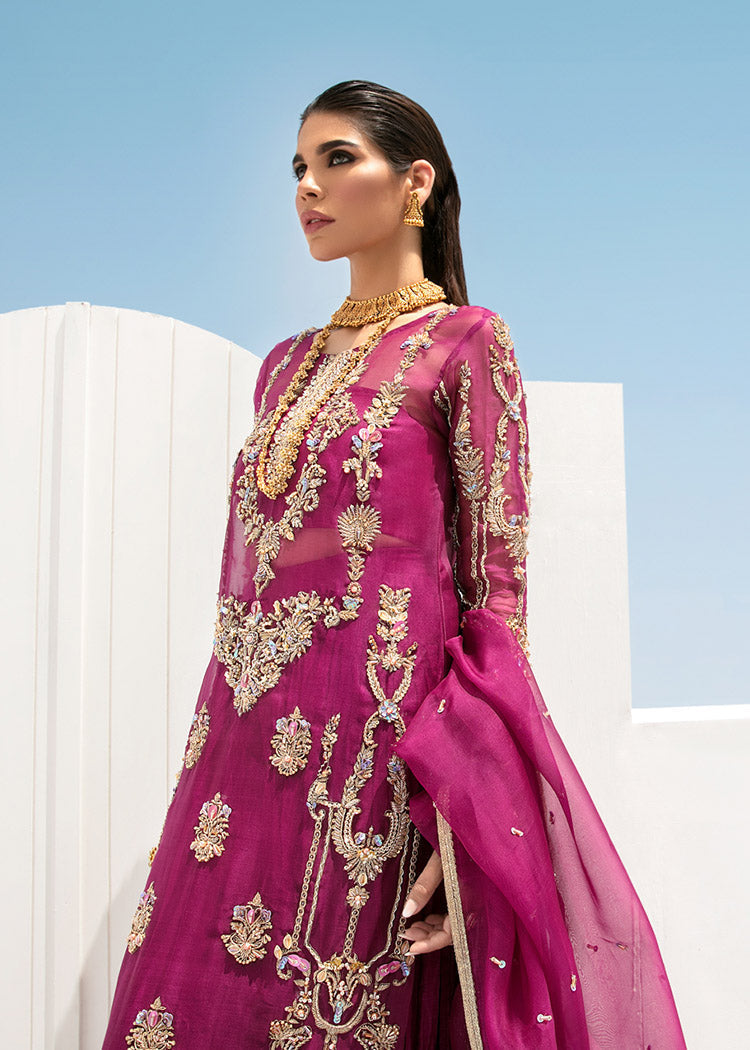 Indian Plum Embroidered Organza Salwar Kameez (3-Piece) - Image 7