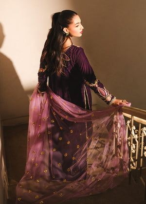 Pakistani Purple Embroidered Velvet Salwar Kameez (3-Piece) - Image 10