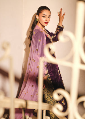 Pakistani Purple Embroidered Velvet Salwar Kameez (3-Piece) - Image 9