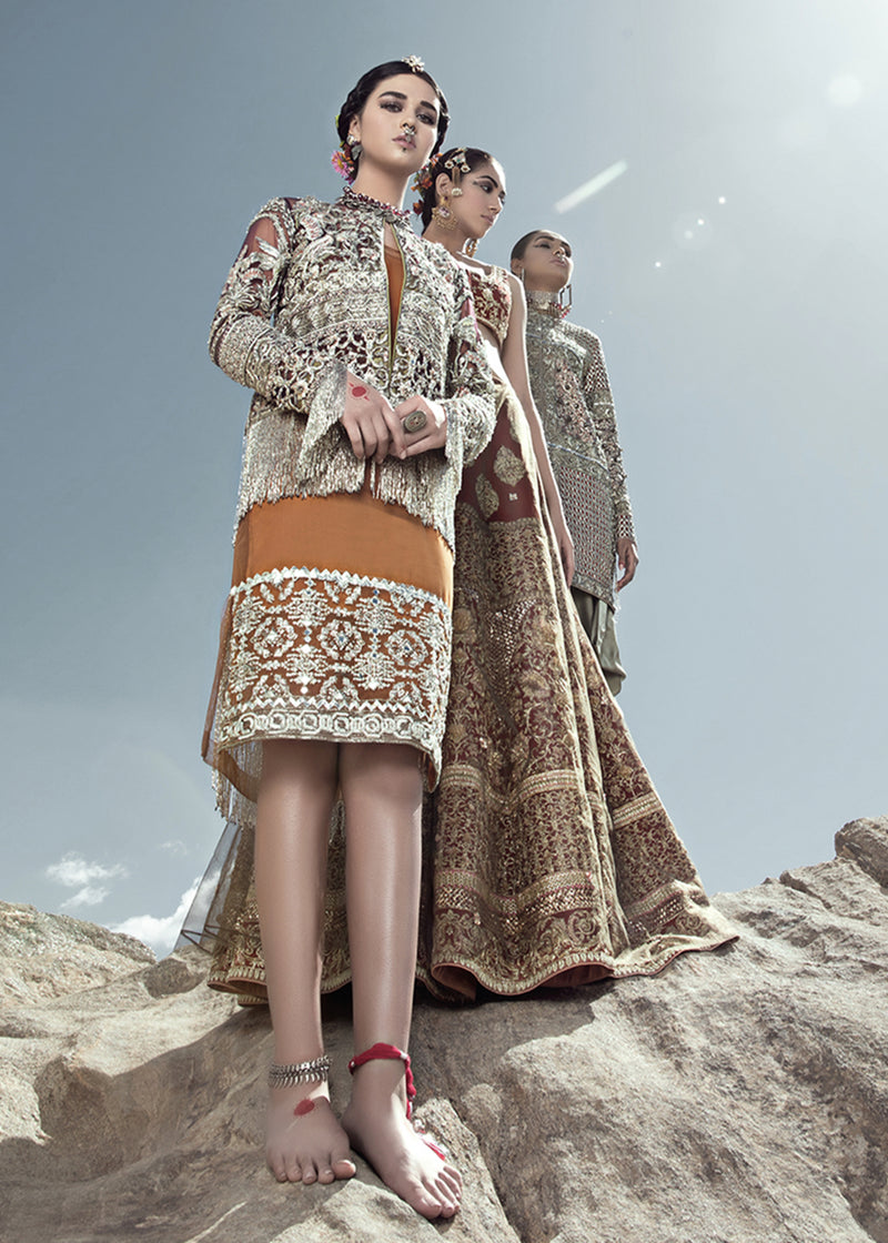 Pakistani Plum Hand-Embellished Net Jacket Dress (2-Piece) - Image 1