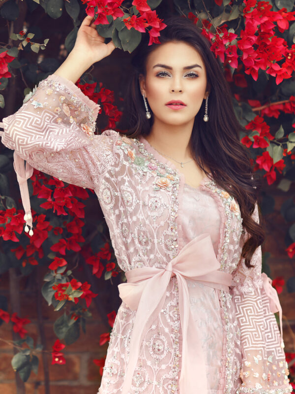 Lilac Embroidered Organza Salwar Kameez (2-Piece) - Image 1