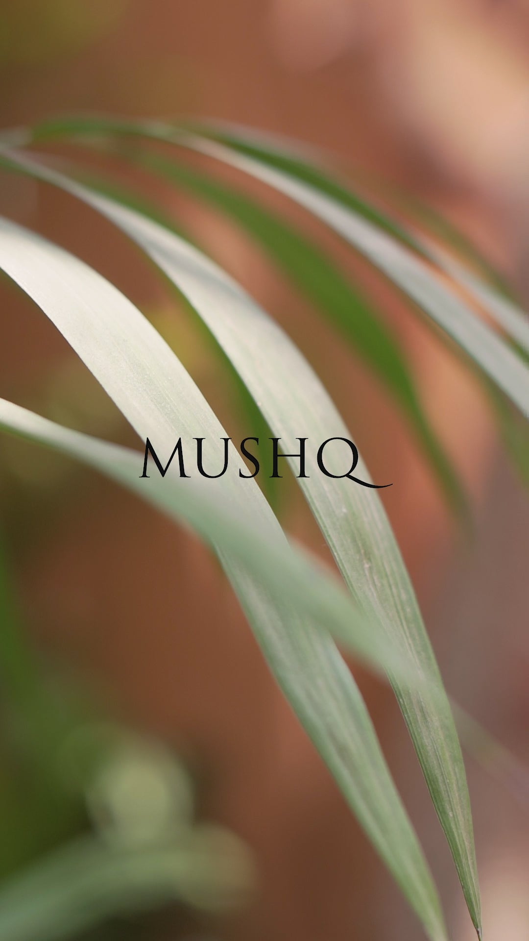 Pakistani Red Embellished Net Anarkali Dress (2-Piece) - Image 6