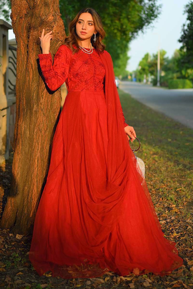 Red Embroidered Net Anarkali Gown (2-Piece) - Image 1
