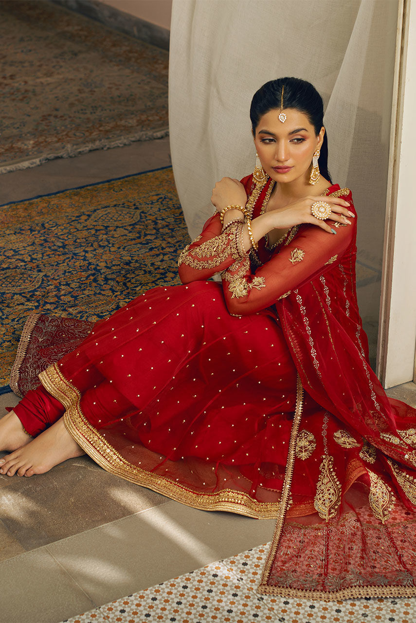 Pakistani Red Embroidered Organza Anarkali Dress (2-Piece) - Image 6