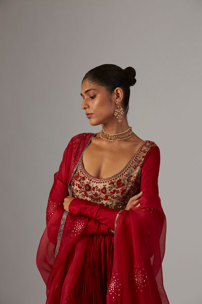 Red Embroidered Silk & Lame Anarkali Dress (2-Piece) - Image 1