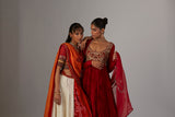 Red Embroidered Silk & Lame Anarkali Dress (2-Piece) - Image 15