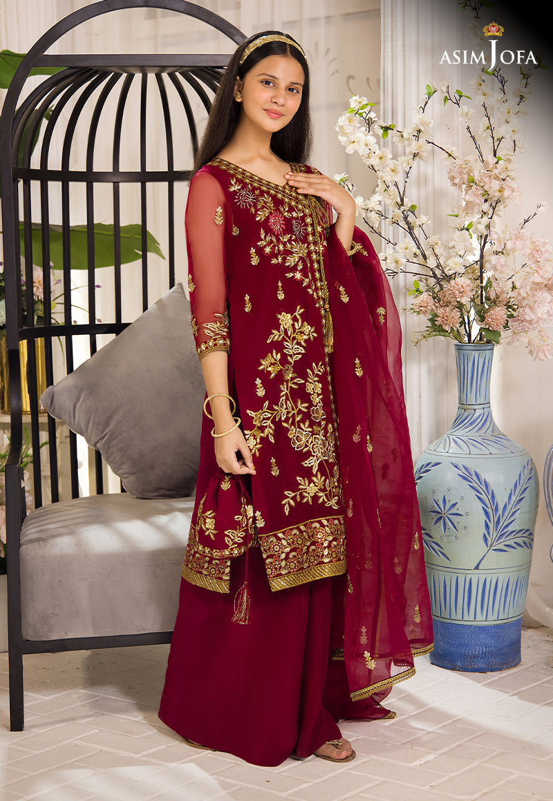 Deep Red Embroidered Organza Angrakha Dress (3-Piece) - Image 3