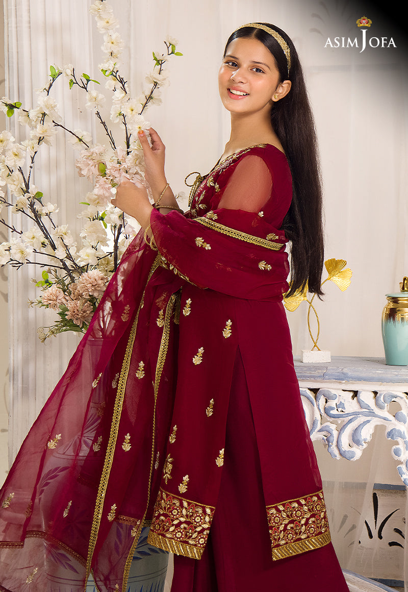 Deep Red Embroidered Organza Angrakha Dress (3-Piece) - Image 4
