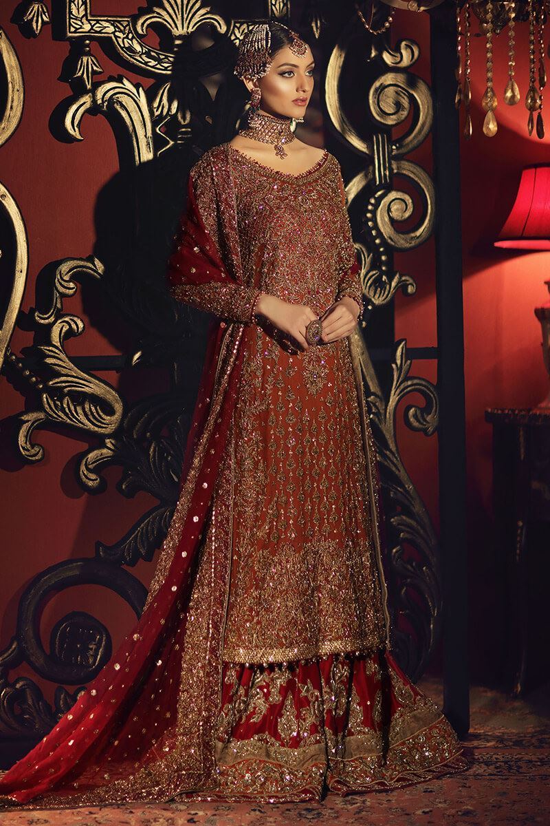 Rust & Red Embroidered Organza Gharara (3-Piece) - Image 1