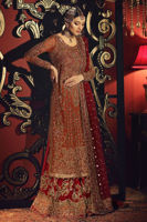 Rust & Red Embroidered Organza Gharara (3-Piece) - Image 3