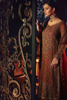 Rust & Red Embroidered Organza Gharara (3-Piece) - Image 5