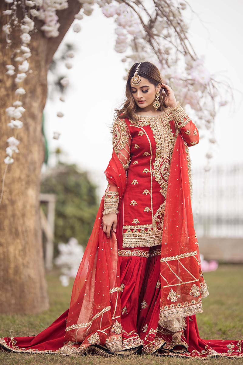 Pakistani Red Embroidered Organza & Raw Silk Farshi Gharara (3-Piece) - Image 11