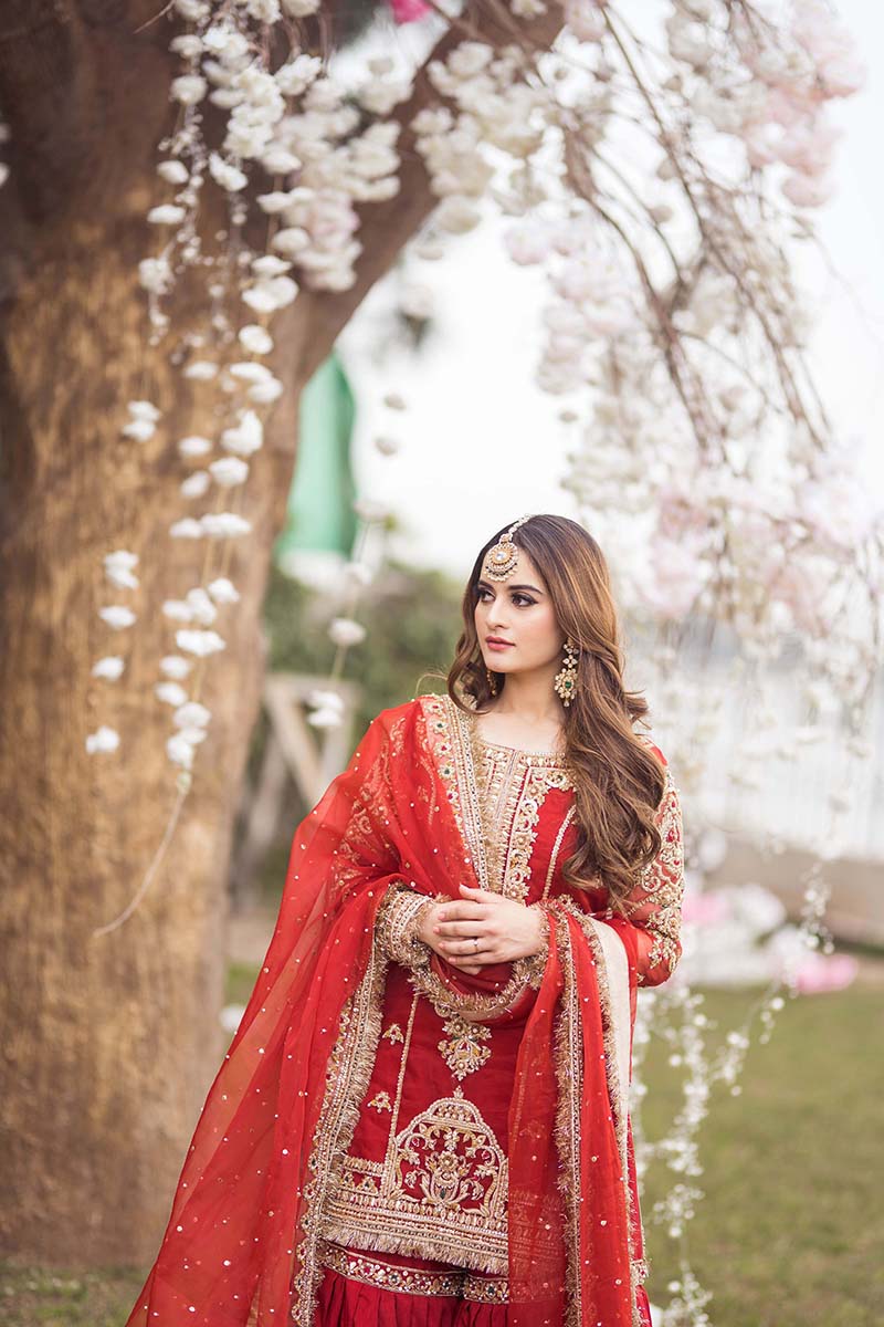 Pakistani Red Embroidered Organza & Raw Silk Farshi Gharara (3-Piece) - Image 2