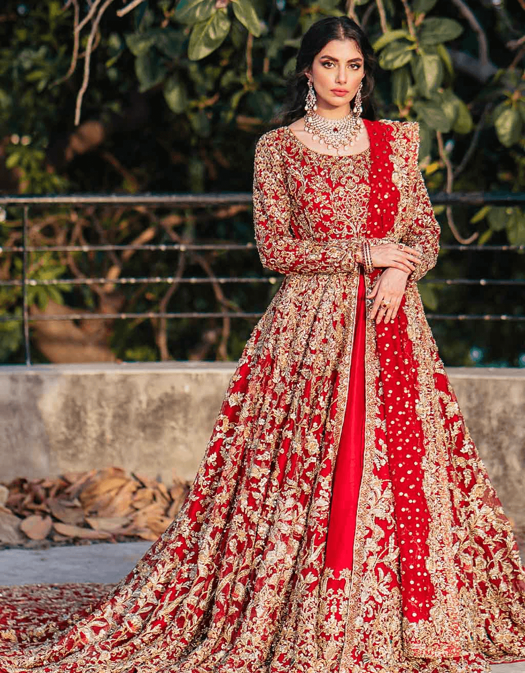 Pakistani Blood Red Zardozi Pure Net Bridal Gown (2-Piece) - Image 6