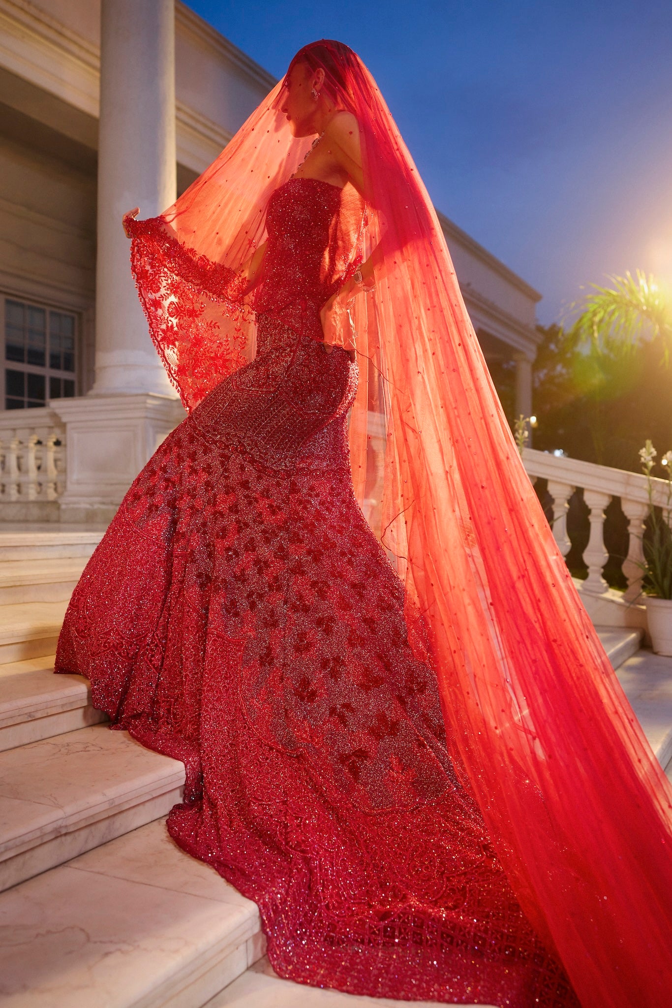 Red Embroidered Tulle Fish Cut Gown (2-Piece) - Image 2