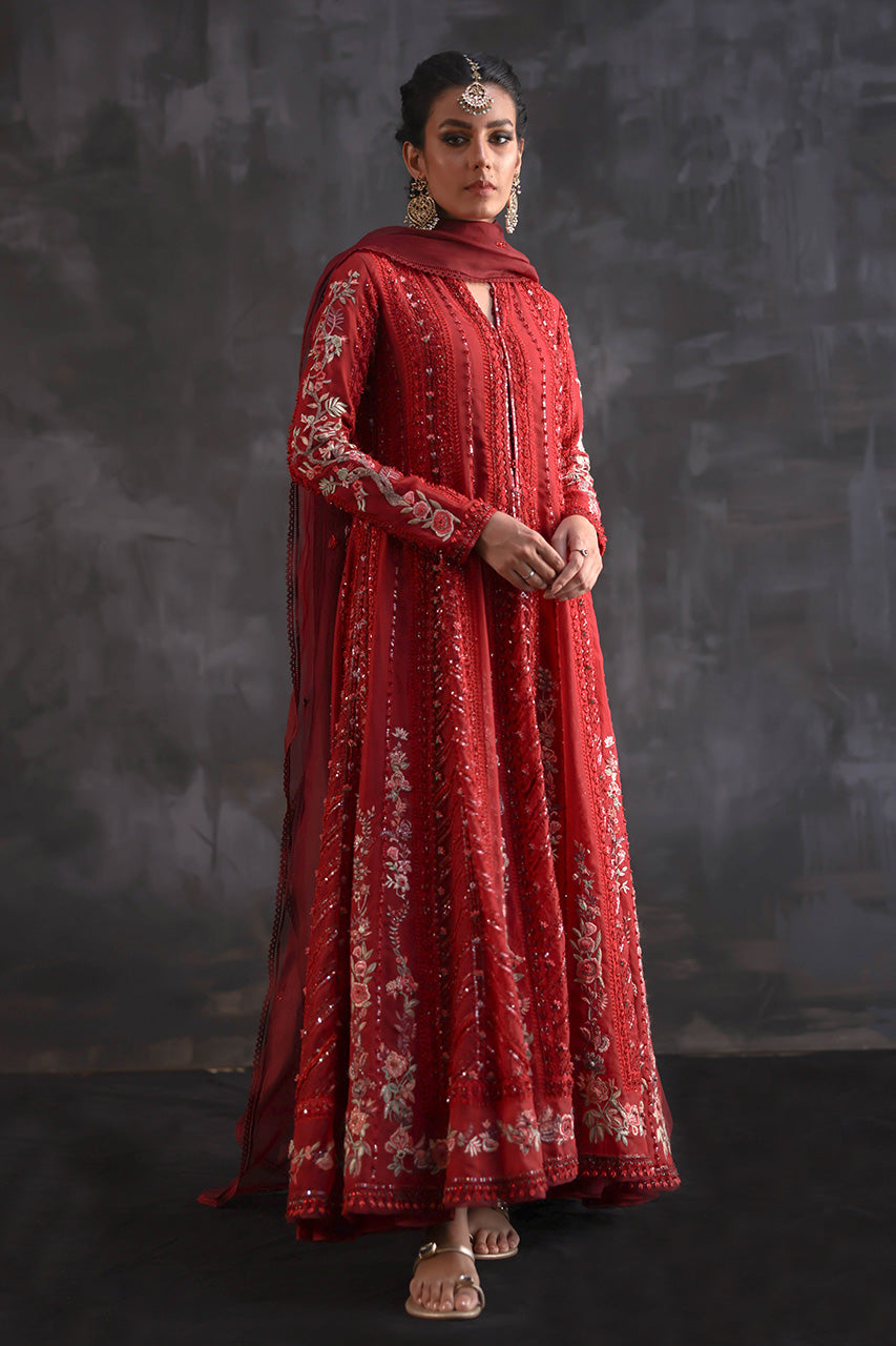 Red Ari Embroidered Silk Organza Kalidar (2-Piece) - Image 5