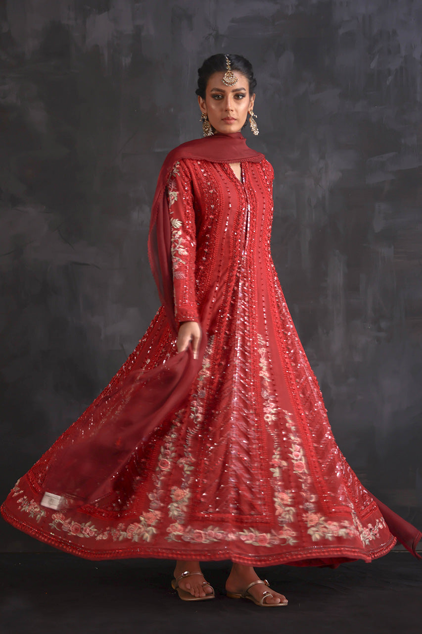 Red Ari Embroidered Silk Organza Kalidar (2-Piece) - Image 6