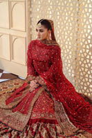 Deep Red Chattapatti Chiffon Pishwas Lehenga (3-Piece) - Image 5