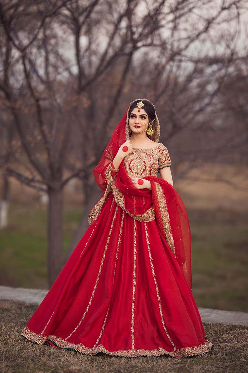 Red Embroidered Jamawar Choli with Raw Silk Lehenga (3-Piece) - Image 4