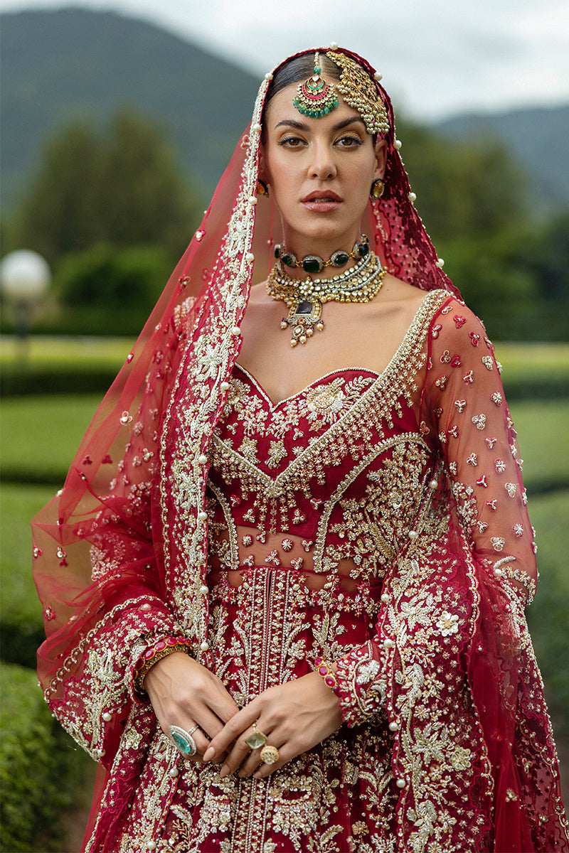 Blood Red Embellished Net & Silk Bridal Lehenga (3-Piece) - Image 4