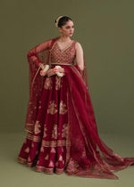Pakistani Red Embellished Korean Rawsilk Lehenga Choli (3-Piece) - Image 4