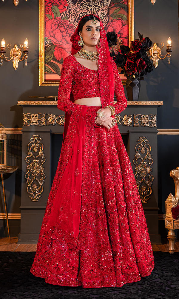 Pakistani Red 3D Embroidered Net Silk Bridal Lehenga (3-Piece) - Image 2