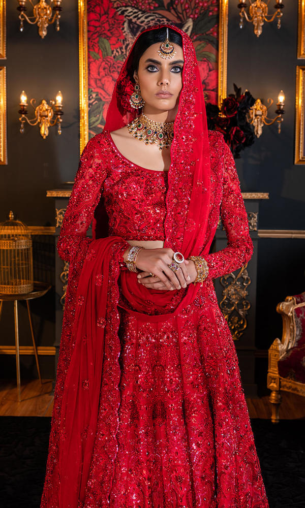 Pakistani Red 3D Embroidered Net Silk Bridal Lehenga (3-Piece) - Image 3