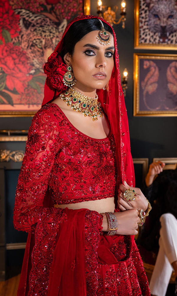 Pakistani Red 3D Embroidered Net Silk Bridal Lehenga (3-Piece) - Image 7