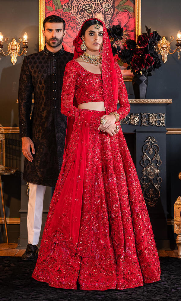 Pakistani Red 3D Embroidered Net Silk Bridal Lehenga (3-Piece) - Image 8