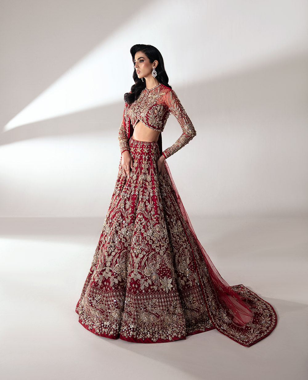 Pakistani Deep Red Embroidered Net Lehenga Choli (3-Piece) - Image 3